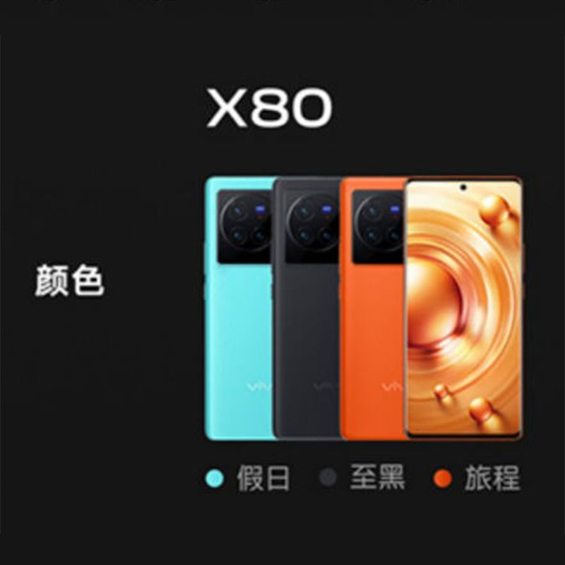 vivo X80